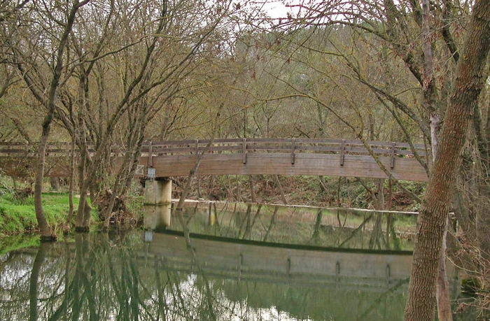 La passerelle en bois du Salaison