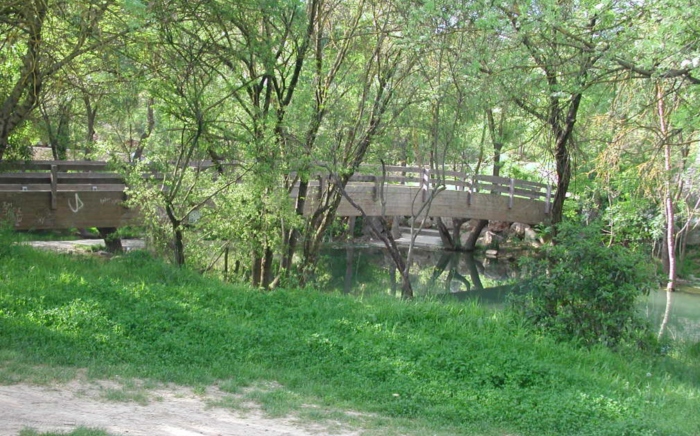 La passerelle en bois du Salaison