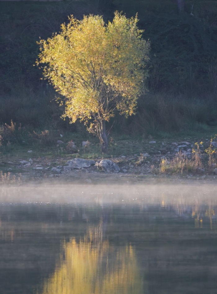 Couleurs automnales et brumes matinales