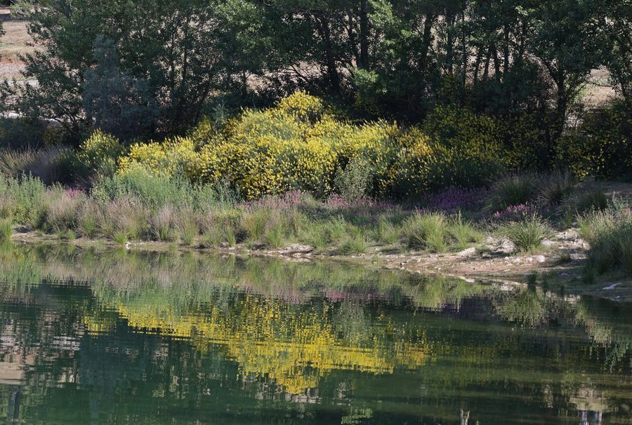 Lac du Crès