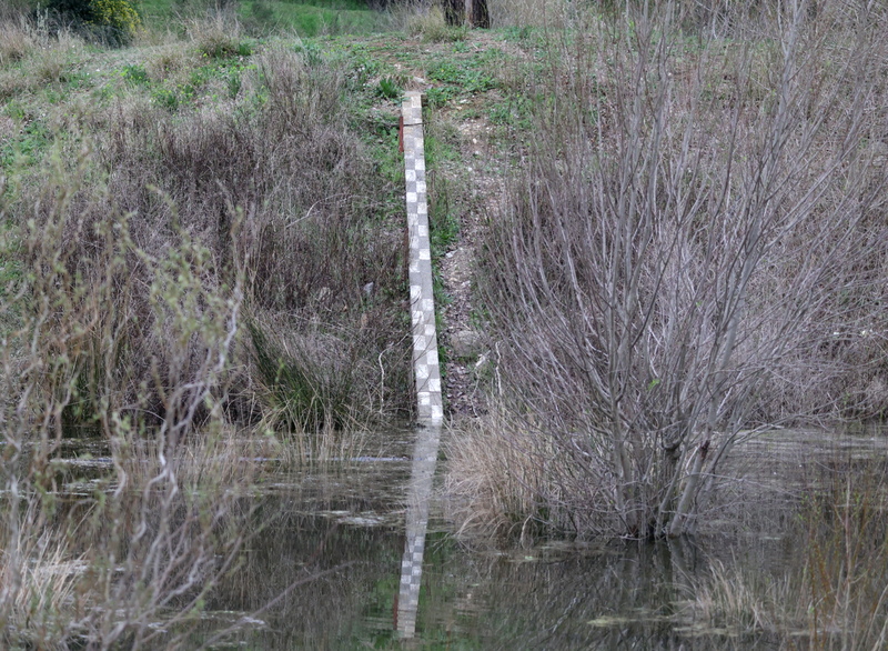 Echelle de niveau