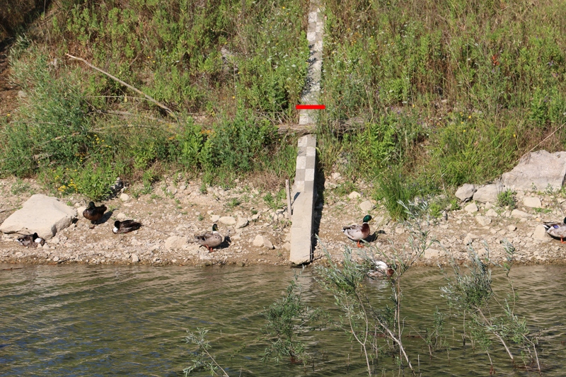 Echelle de niveau sur l'île du lac