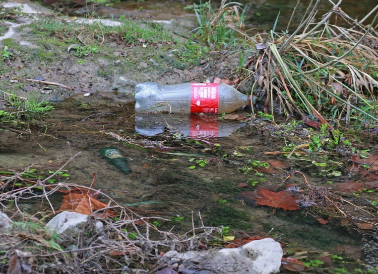 Bouteilles dans le Salaison