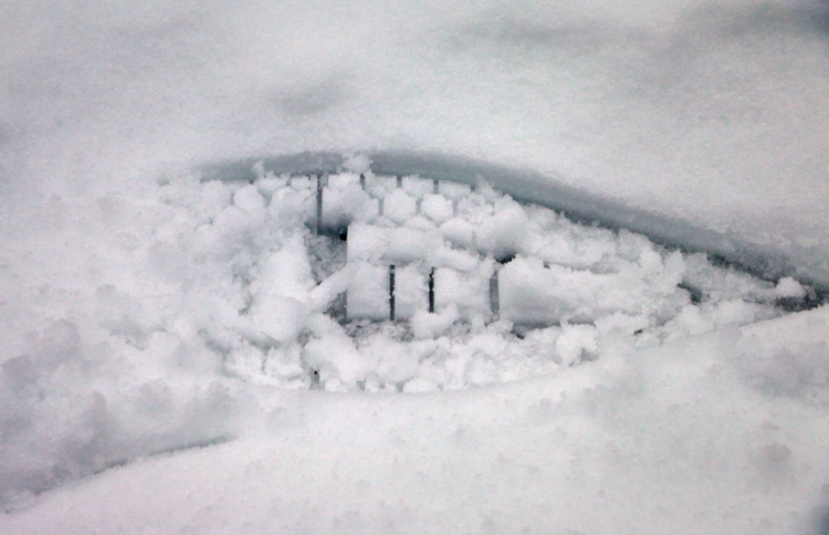 Empreinte dans la neige