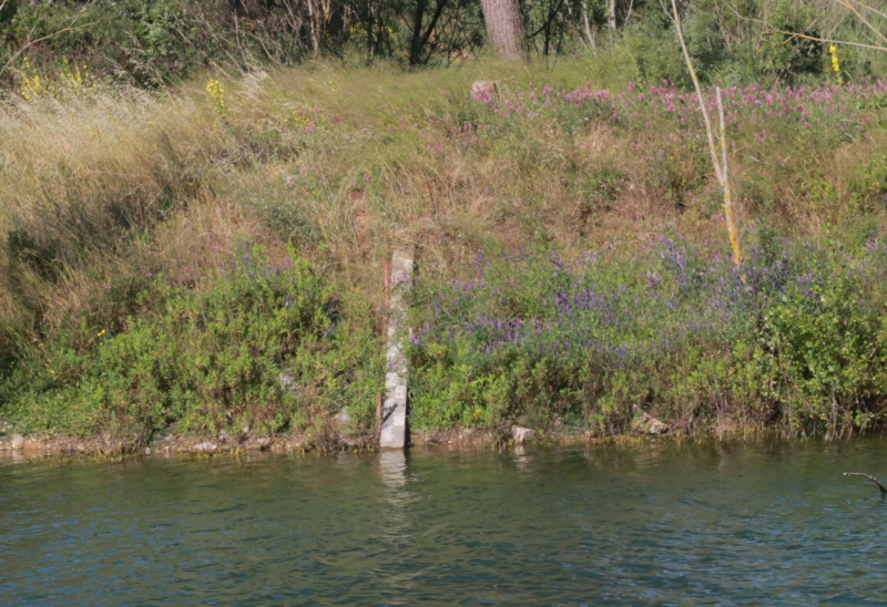 Echelle de niveau sur l'île du lac
