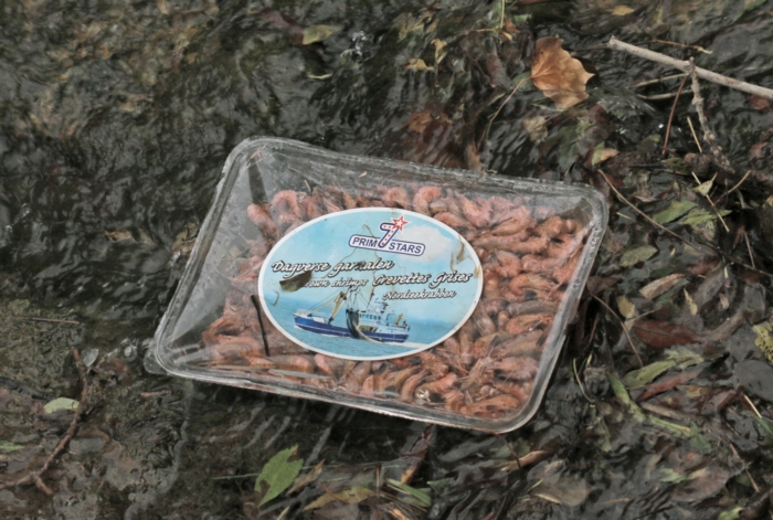 Paquet de crevettes grises.