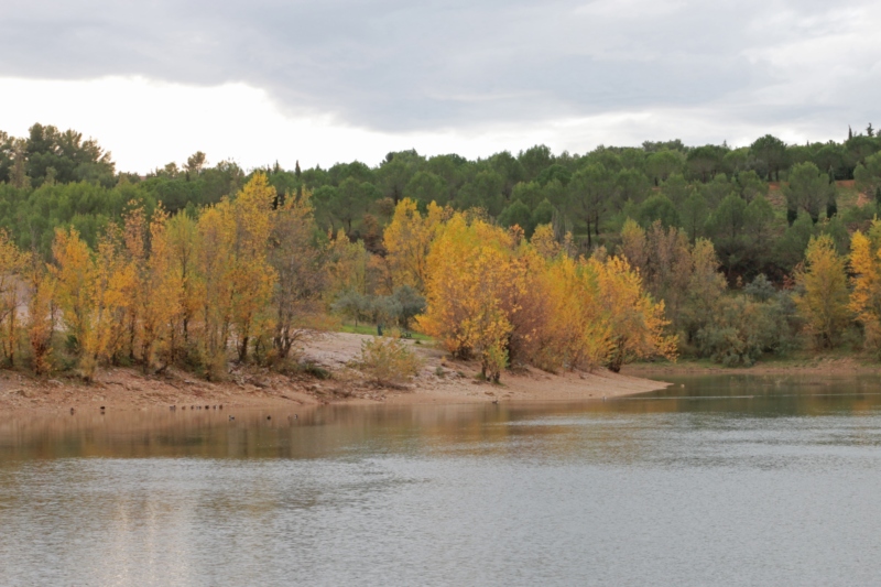 Automne sur le lac
