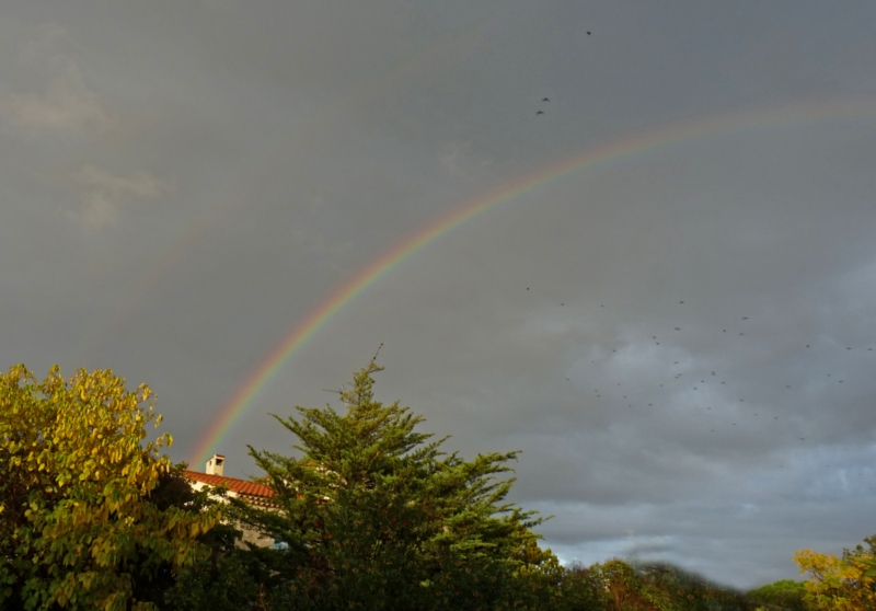 Arc-en-ciel
