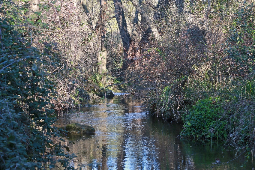 Le Salaison
