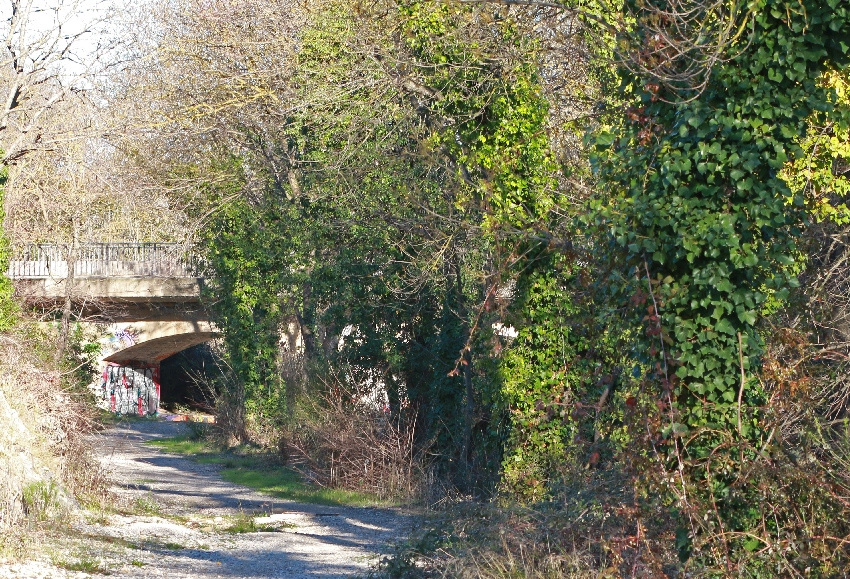 Le Salaison