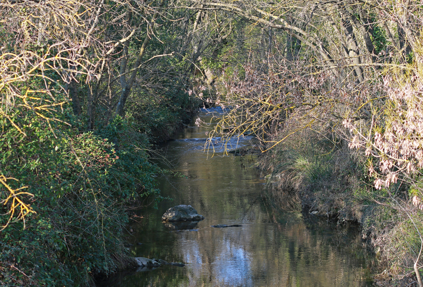 Le Salaison