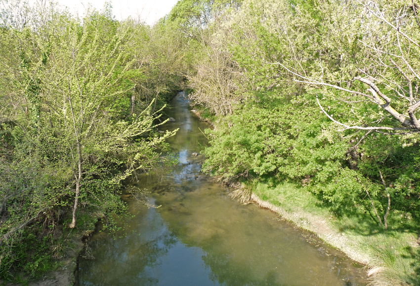 Le Salaison